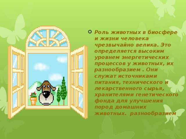 Роль животных в биосфере и жизни человека чрезвычайно велика. Это определяется высоким уровнем энергетических процессов у животных, их разнообразием . Они служат источниками питания, технического и лекарственного сырья, хранителями генетического фонда для улучшения пород домашних животных. разнообразием 