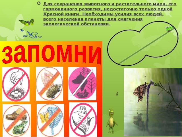 Для сохранения животного и растительного мира, его гармоничного развития, недостаточно только одной Красной книги. Необходимы усилия всех людей, всего населения планеты для смягчения экологической обстановки. 