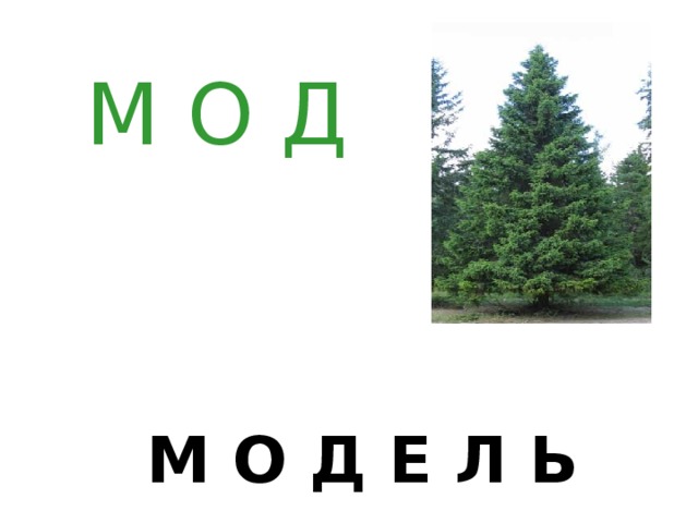 М О Д  М О Д Е Л Ь 