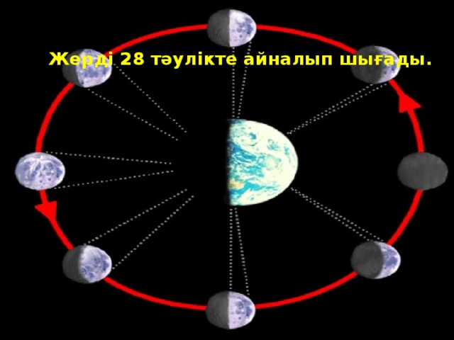   Жерді 28 тәулікте айналып шығады. 
