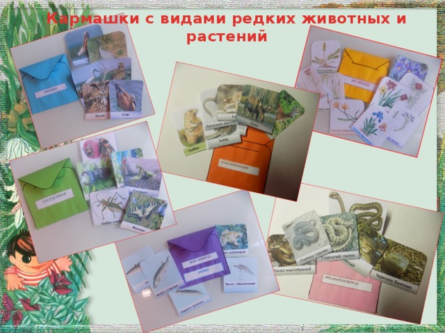 Кармашки с видами редких животных и растений