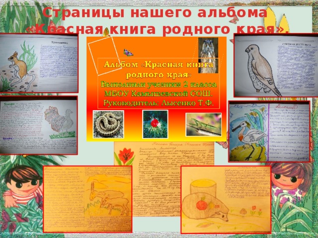 Страницы нашего альбома  «Красная книга родного края».
