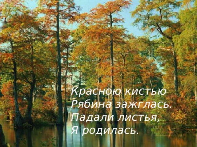 Красною кистью Рябина зажглась. Падали листья, Я родилась.  