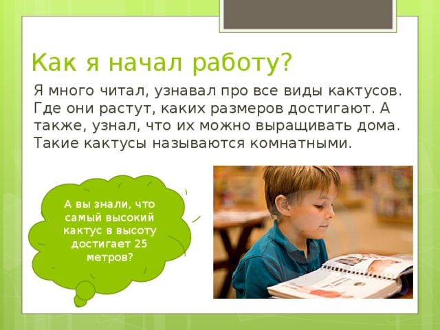 Как я начал работу? Я много читал, узнавал про все виды кактусов. Где они растут, каких размеров достигают. А также, узнал, что их можно выращивать дома. Такие кактусы называются комнатными. А вы знали, что самый высокий кактус в высоту достигает 25 метров? 