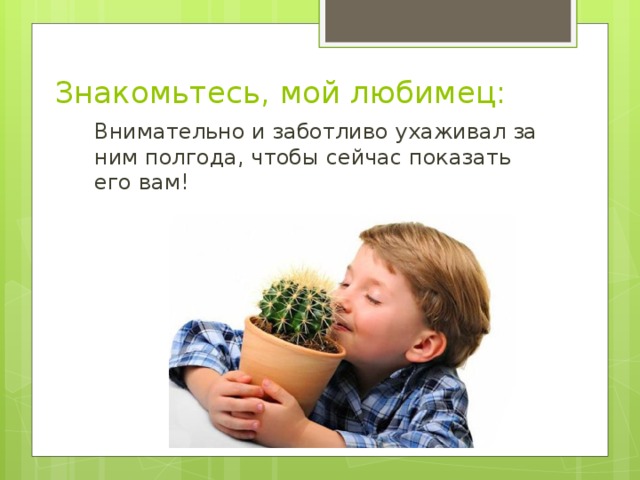 Знакомьтесь, мой любимец:   Внимательно и заботливо ухаживал за ним полгода, чтобы сейчас показать его вам! 