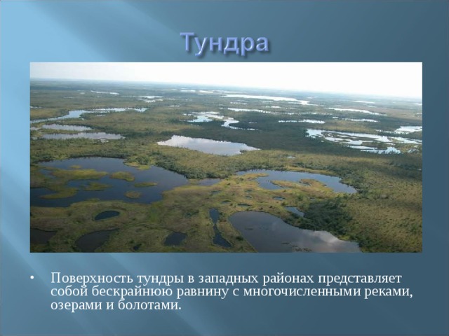 Поверхность тундры в западных районах представляет собой бескрайнюю равнину с многочисленными реками, озерами и болотами. 