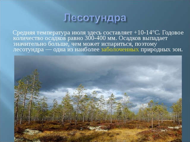  Средняя температура июля здесь составляет +10-14°С. Годовое количество осадков равно 300-400 мм. Осадков выпадает значительно больше, чем может испариться, поэтому лесотундра — одна из наиболее заболоченных природных зон. 