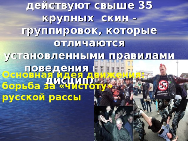 На сегодняшний день на территории России действуют свыше 35 крупных скин - группировок, которые отличаются установленными правилами поведения и жесткой дисциплиной.   Основная идея движения: борьба за «чистоту» русской рассы 
