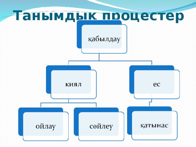 Танымдық процестер 