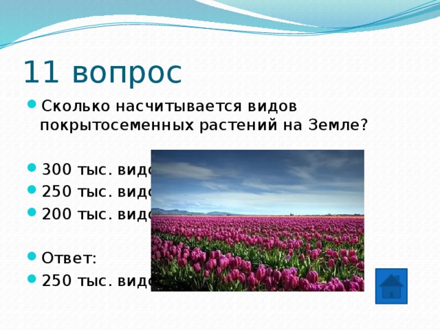 11 вопрос Сколько насчитывается видов покрытосеменных растений на Земле? 300 тыс. видов 250 тыс. видов 200 тыс. видов Ответ: 250 тыс. видов 