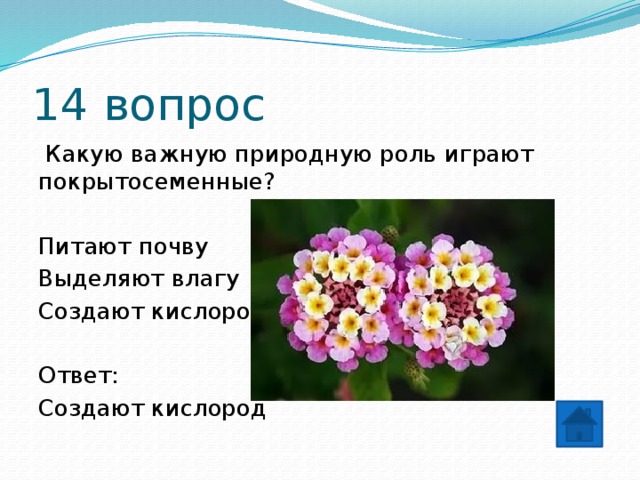 14 вопрос  Какую важную природную роль играют покрытосеменные? Питают почву Выделяют влагу Создают кислород Ответ: Создают кислород 