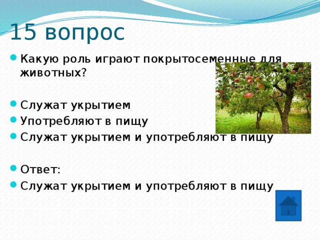 15 вопрос Какую роль играют покрытосеменные для животных? Служат укрытием Употребляют в пищу Служат укрытием и употребляют в пищу Ответ: Служат укрытием и употребляют в пищу 