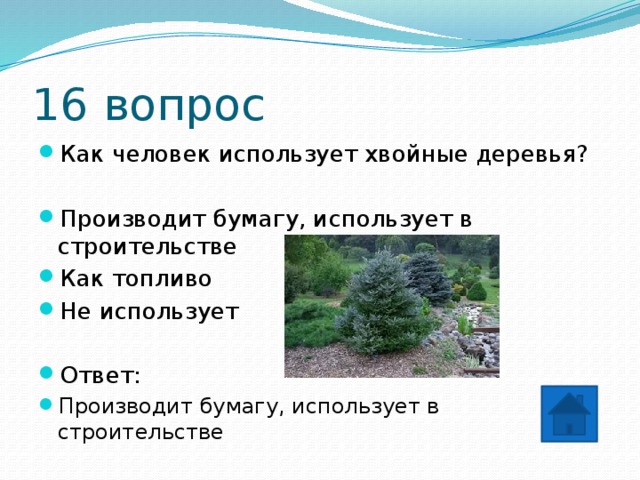 16 вопрос Как человек использует хвойные деревья? Производит бумагу, использует в строительстве Как топливо Не использует Ответ: Производит бумагу, использует в строительстве 
