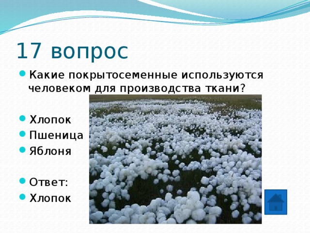 17 вопрос Какие покрытосеменные используются человеком для производства ткани? Хлопок Пшеница Яблоня Ответ: Хлопок 