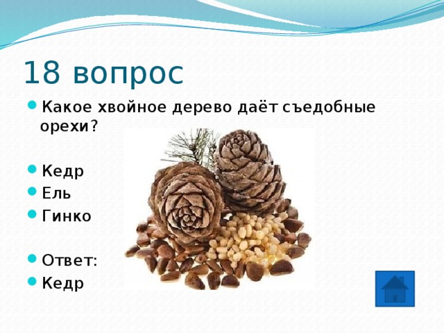 18 вопрос Какое хвойное дерево даёт съедобные орехи? Кедр Ель Гинко Ответ: Кедр 