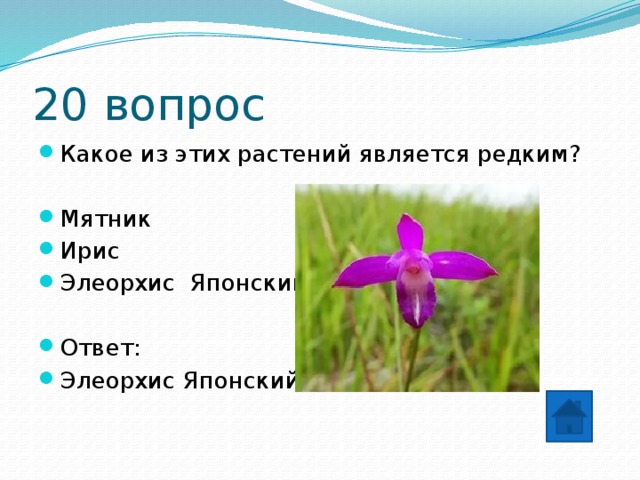20 вопрос Какое из этих растений является редким? Мятник Ирис Элеорхис Японский Ответ: Элеорхис Японский 