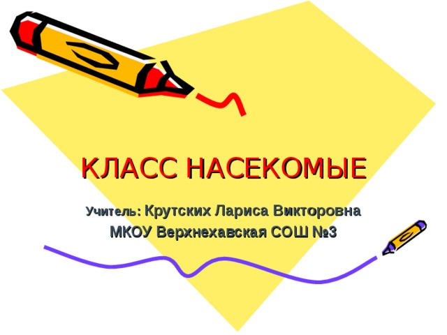 КЛАСС НАСЕКОМЫЕ Учитель: Крутских Лариса Викторовна МКОУ Верхнехавская СОШ №3  