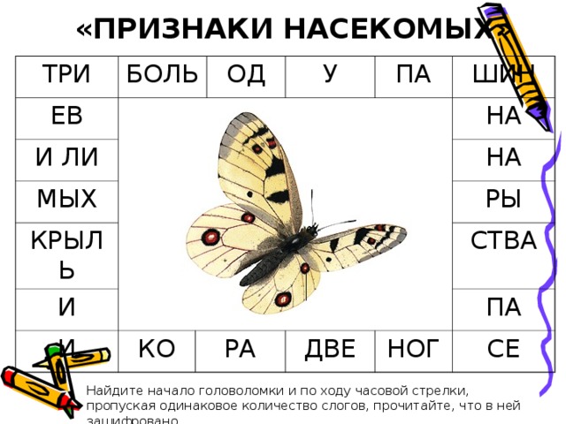 «ПРИЗНАКИ НАСЕКОМЫХ» ТРИ БОЛЬ ЕВ И ЛИ ОД МЫХ У КРЫЛЬ ПА И ШИН И НА КО НА РА РЫ СТВА ДВЕ ПА НОГ СЕ Найдите начало головоломки и по ходу часовой стрелки, пропуская одинаковое количество слогов, прочитайте, что в ней зашифровано. 