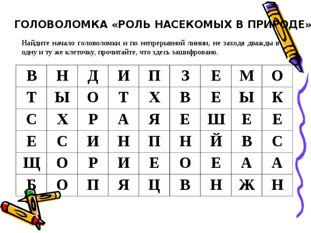 ГОЛОВОЛОМКА «РОЛЬ НАСЕКОМЫХ В ПРИРОДЕ» Найдите начало головоломки и по непрерывной линии, не заходя дважды в одну и ту же клеточку, прочитайте, что здесь зашифровано. В Н Т Ы Д С И Х О Е С Р Т П Щ З А О И Х Б Е Р Я О Н В И Е М П П Е Е Я О Ш Н Ы Е О Ц К Й В Е Е В А Н С А Ж Н 