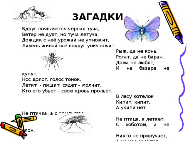 ЗАГАДКИ Вдруг появляется чёрная туча, Ветер не дует, но туча летуча; Дождик с неё урожай не умножит, Ливень живой всё вокруг уничтожит.      Рыж, да не конь,      Рогат, да не баран,      Дома не любят,      И на базаре не купят. Нос долог, голос тонок, Летит - пищит, сядет – молчит. Кто его убьет – свою кровь прольёт.      В лесу котелок      Кипит, кипит,      А укипи нет. Не птичка, а с крыльями.      Не птица, а летает,      С хоботом, а не слон,      Никто не приручает,      А на нас садится. 