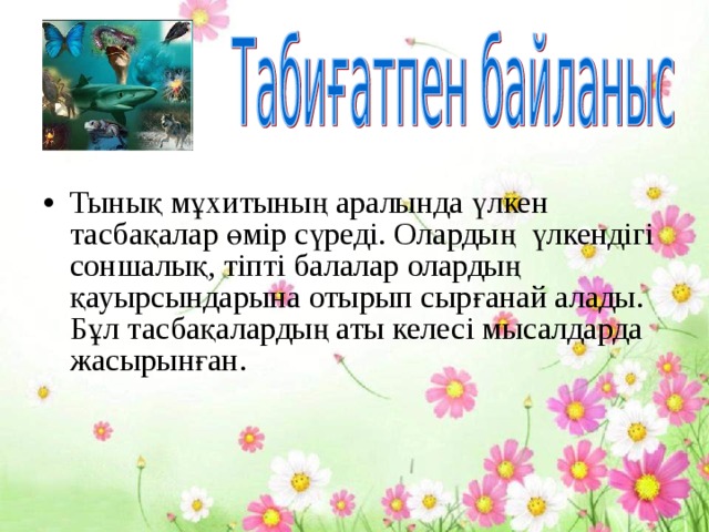 Тынық мұхитының аралында үлкен тасбақалар өмір сүреді. Олардың үлкендігі соншалық, тіпті балалар олардың қауырсындарына отырып сырғанай алады. Бұл тасбақалардың аты келесі мысалдарда жасырынған. 