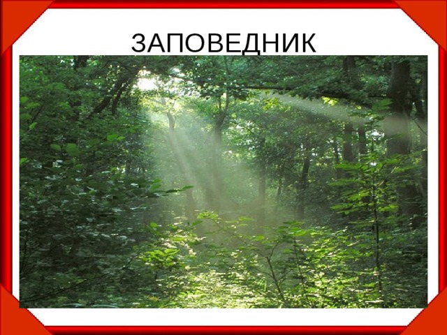 ЗАПОВЕДНИК 