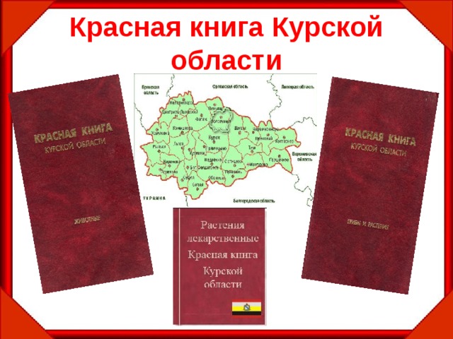 Красная книга Курской области 