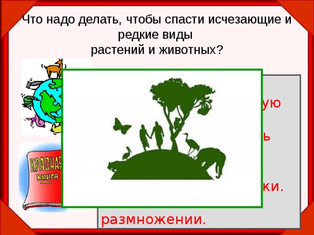 Что надо делать, чтобы спасти исчезающие и редкие виды  растений и животных? Запретить охоту. Запретить чрезмерную  добычу животных. Запретить разрушать  места обитания животных. Охранять заповедники. Заботиться о размножении. 