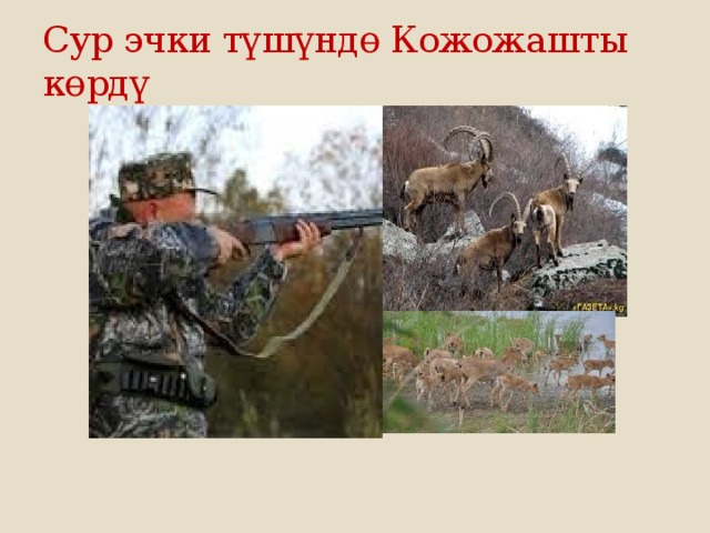 Сур эчки түшүндө Кожожашты көрдү 