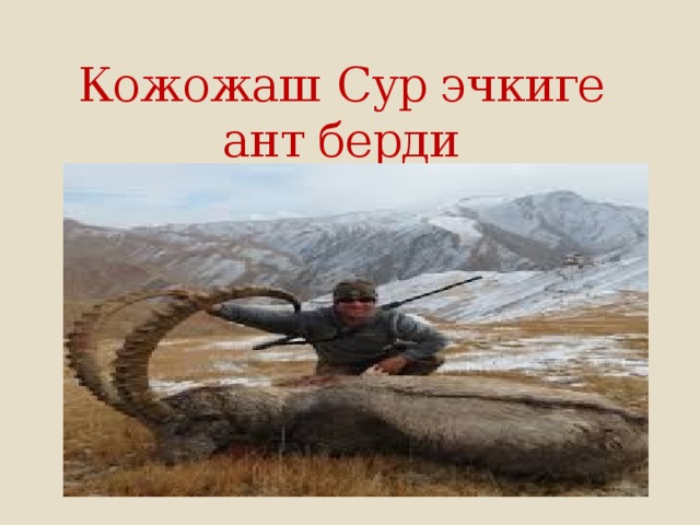 Кожожаш  Сур эчкиге ант берди 