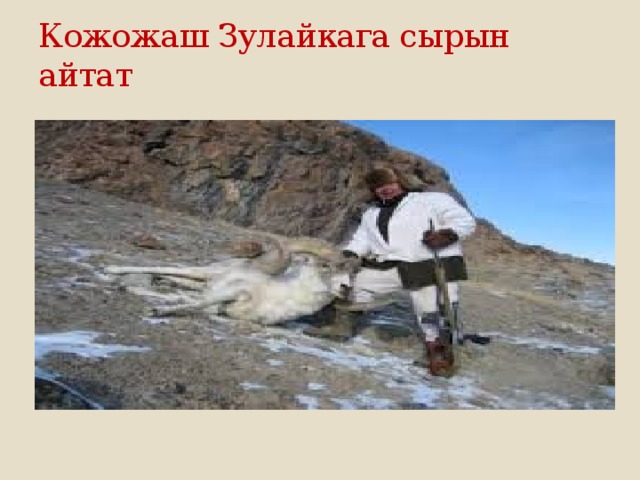 Кожожаш Зулайкага сырын айтат 