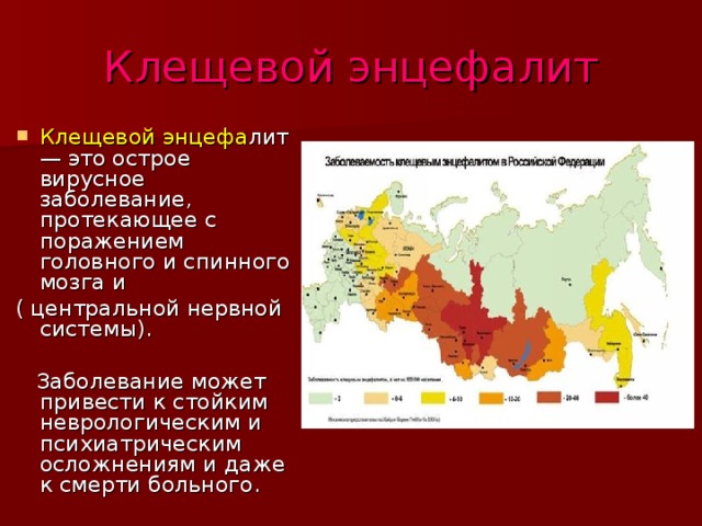 Клещевой энцефалит Клещевой энцефа лит — это острое вирусное заболевание, протекающее с поражением головного и спинного мозга и ( центральной нервной системы).  Заболевание может привести к стойким неврологическим и психиатрическим осложнениям и даже к смерти больного. 