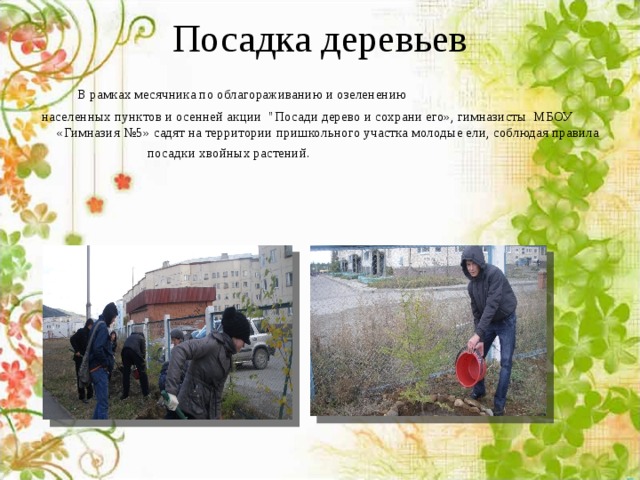 Посадка деревьев    В рамках месячника по облагораживанию и озеленению  населенных пунктов и осенней акции 