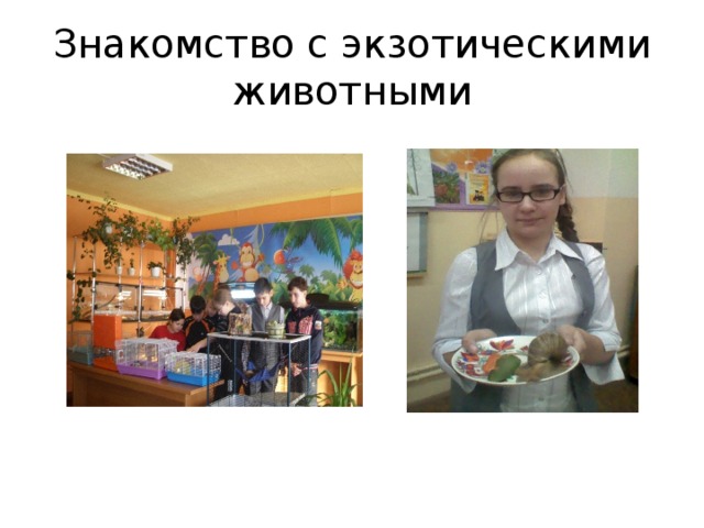 Знакомство с экзотическими животными 
