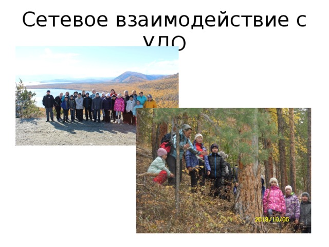 Сетевое взаимодействие с УДО 