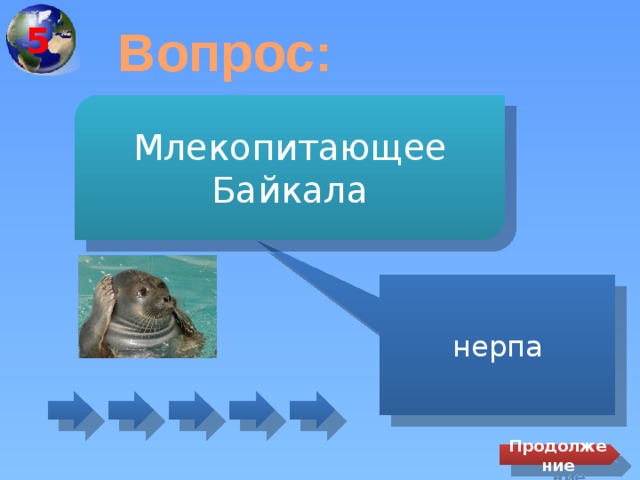 5 Вопрос: Млекопитающее Байкала нерпа Продолжение 
