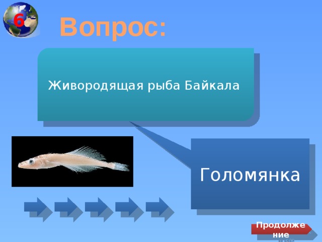 6 Вопрос: Живородящая рыба Байкала Голомянка Продолжение 