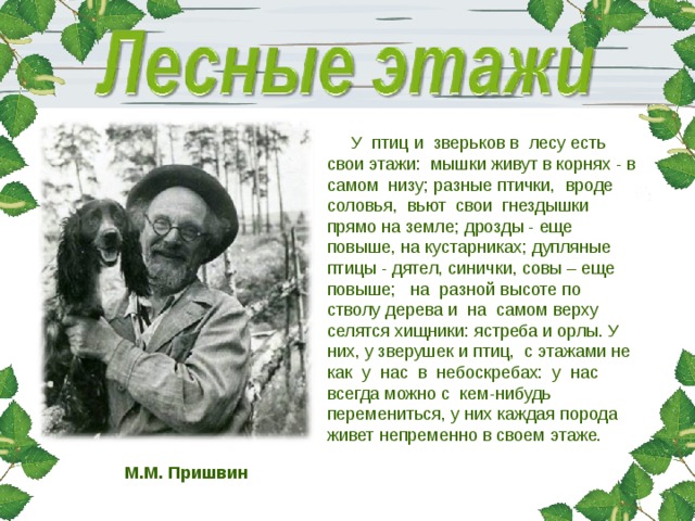  У  птиц и  зверьков в  лесу есть свои этажи:  мышки живут в корнях - в самом  низу; разные птички,  вроде соловья,  вьют  свои  гнездышки прямо на земле; дрозды - еще повыше, на кустарниках; дупляные птицы - дятел, синички, совы – еще повыше;   на  разной высоте по  стволу дерева и  на  самом верху селятся хищники: ястреба и орлы. У них, у зверушек и птиц,  с этажами не  как  у  нас  в  небоскребах:  у  нас  всегда можно с  кем-нибудь перемениться, у них каждая порода живет непременно в своем этаже. М.М. Пришвин 