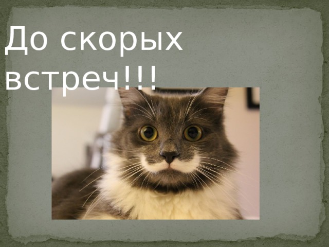 До скорых встреч!!! 