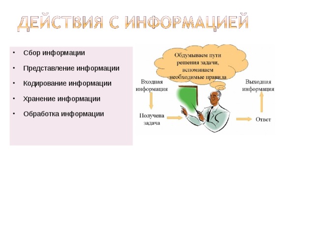 Сбор информации Представление информации Кодирование информации Хранение информации Обработка информации 