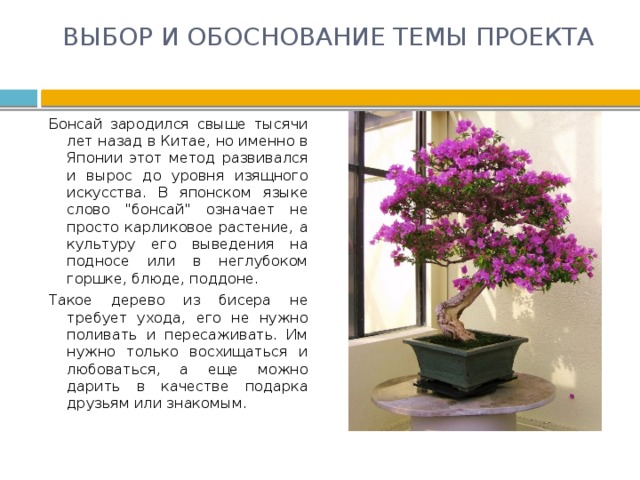 ВЫБОР И ОБОСНОВАНИЕ ТЕМЫ ПРОЕКТА   Бонсай зародился свыше тысячи лет назад в Китае, но именно в Японии этот метод развивался и вырос до уровня изящного искусства. В японском языке слово 