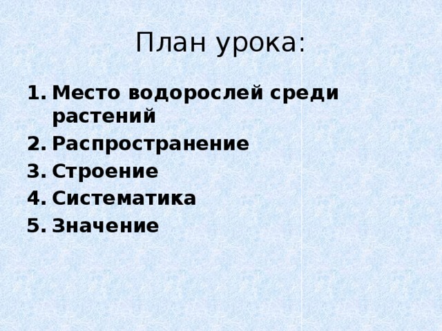 План урока: Место водорослей среди растений Распространение Строение Систематика Значение 