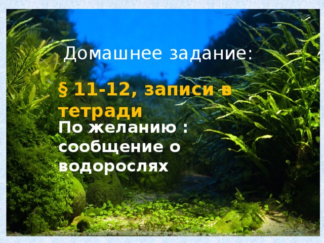 Домашнее задание: § 11-12, записи в тетради По желанию : сообщение о водорослях 