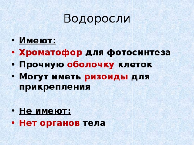 Водоросли Имеют: Хроматофор для фотосинтеза Прочную оболочку клеток Могут иметь ризоиды для прикрепления  Не имеют: Нет органов тела 