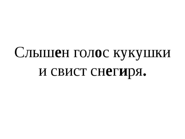 На высоких с о снах б о л ьши е ши шки . 