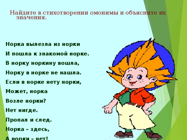 Найдите в стихотворении омонимы и объясните их значения.  Норка вылезла из норки И пошла к знакомой норке. В норку норкину вошла, Норку в норке не нашла. Если в норке нету норки, Может, норка Возле норки? Нет нигде. Пропал и след. Норка – здесь, А норки – нет! 