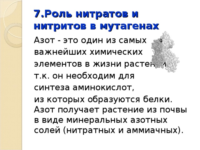 7.Роль нитратов и нитритов в мутагенах Азот - это один из самых важнейших химических элементов в жизни растений, т.к. он необходим для синтеза аминокислот, из которых образуются белки. Азот получает растение из почвы в виде минеральных азотных солей (нитратных и аммиачных). 
