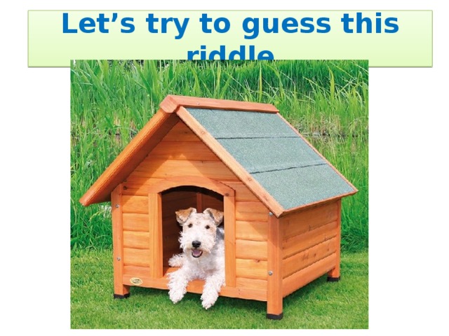 Let’s try to guess this riddle 