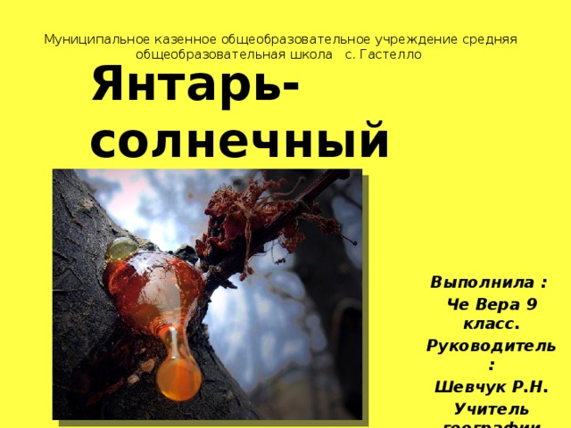 Муниципальное казенное общеобразовательное учреждение средняя общеобразовательная школа с. Гастелло Янтарь-солнечный камень . Выполнила : Че Вера 9 класс. Руководитель: Шевчук Р.Н. Учитель географии  
