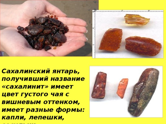 Сахалинский янтарь, получивший название «сахалинит» имеет цвет густого чая с вишневым оттенком, имеет разные формы: капли, лепешки, сосульки, встречаются куски неправильной формы.  